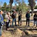 Gobierno de Tijuana planta 150 árboles en jornada por el Día de la Tierra