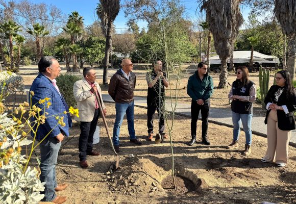 Gobierno de Tijuana planta 150 árboles en jornada por el Día de la Tierra