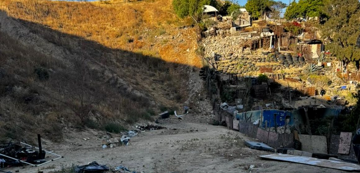 Catean casa de supuesto rescatista; tenía 15 perros desnutridos pese a pedir apoyo en Facebook