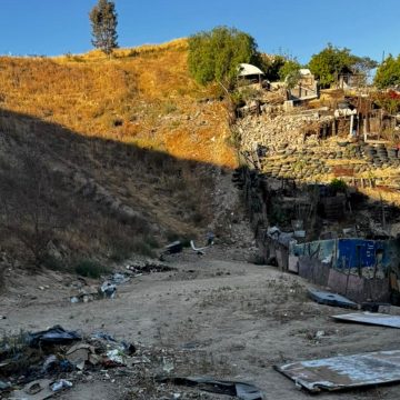 Catean casa de supuesto rescatista; tenía 15 perros desnutridos pese a pedir apoyo en Facebook