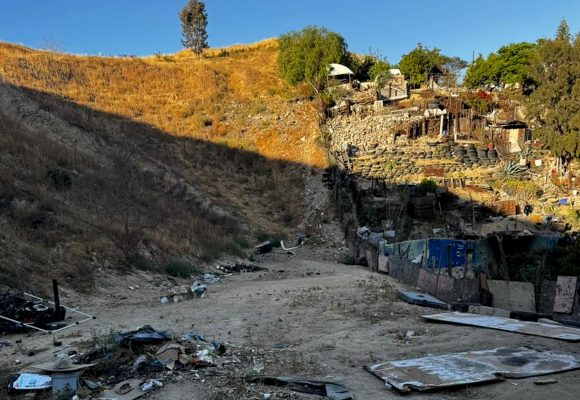 Catean casa de supuesto rescatista; tenía 15 perros desnutridos pese a pedir apoyo en Facebook