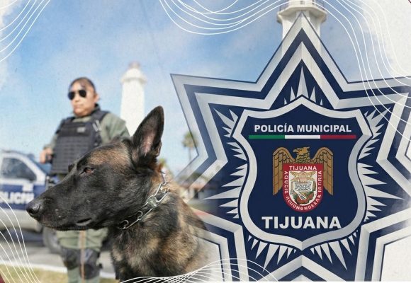 Fortalecen prevención durante vacaciones