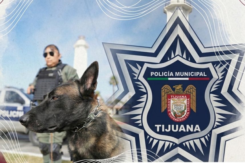 Fortalecen prevención durante vacaciones