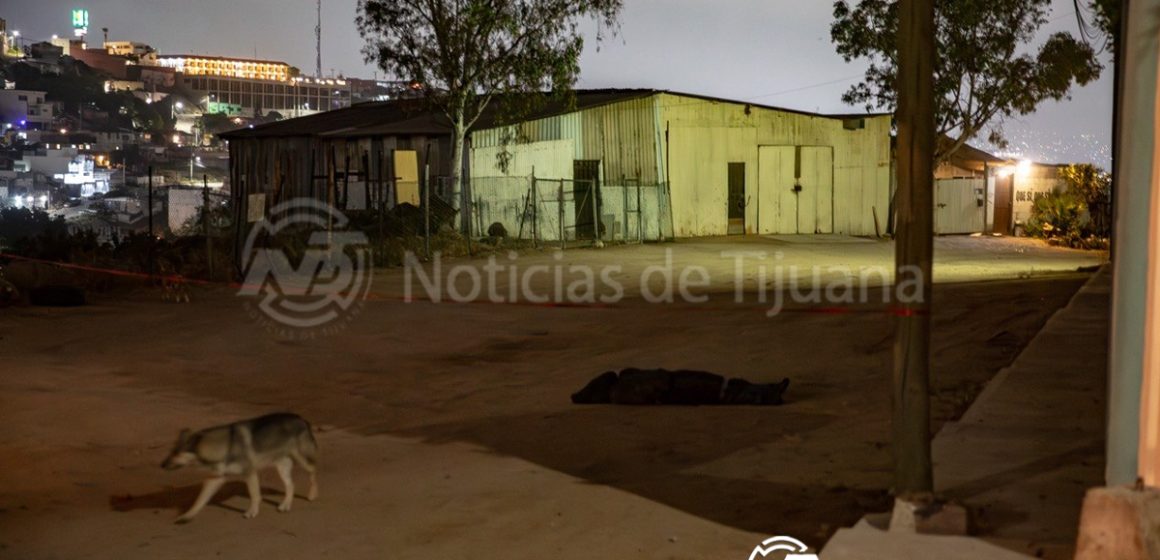 Localizan cuerpo maniatado en Loma Bonita; suman tres cadáveres recientes en Cerro Colorado