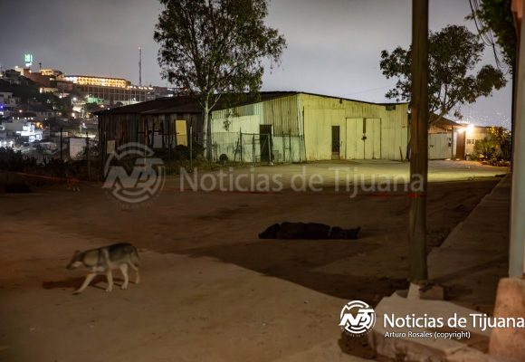 Localizan cuerpo maniatado en Loma Bonita; suman tres cadáveres recientes en Cerro Colorado