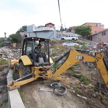 Retiran más de 65 toneladas en tres delegaciones
