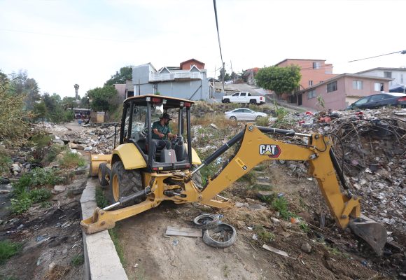 Retiran más de 65 toneladas en tres delegaciones
