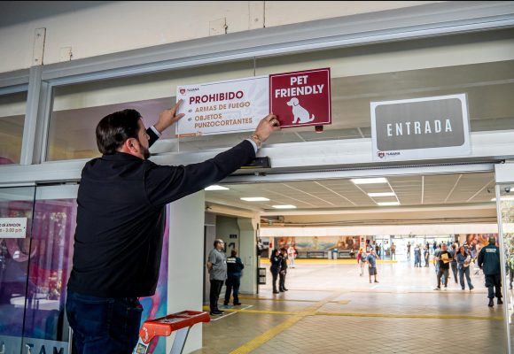 Palacio Municipal ya es pet friendly