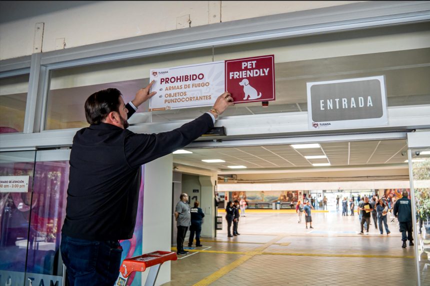 Palacio Municipal ya es pet friendly