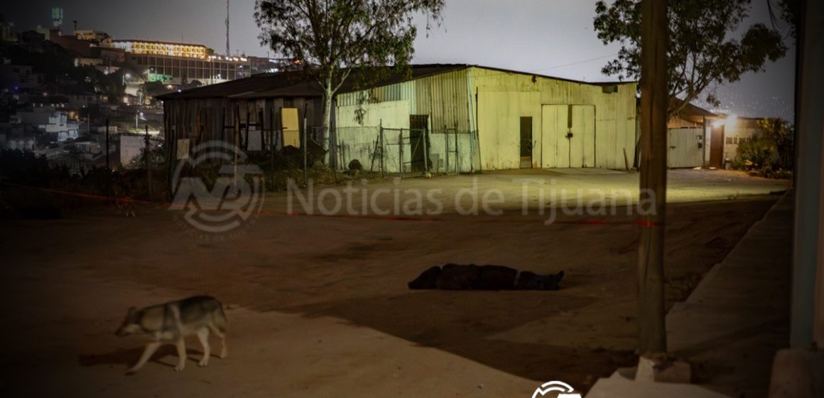 Localizan a hombre maniatado y sin vida