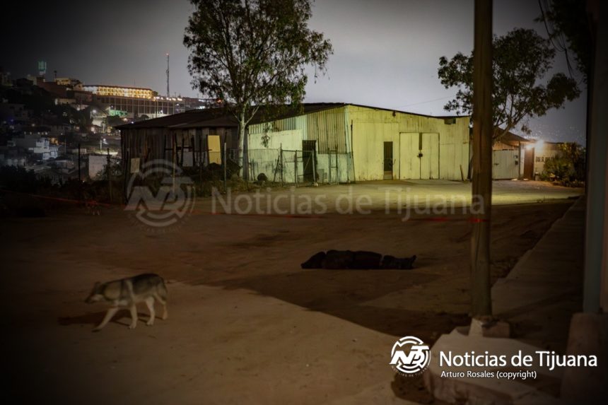 Localizan a hombre maniatado y sin vida
