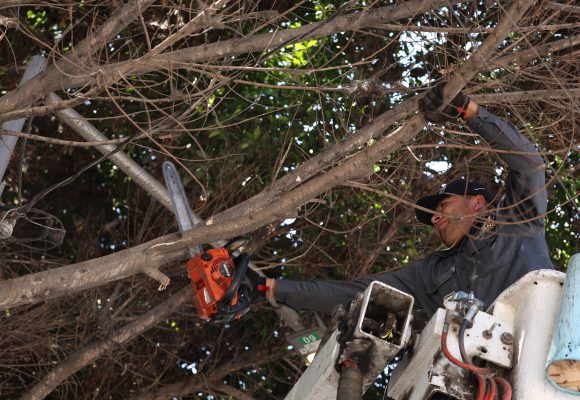Mejoran vialidades y espacios públicos en tres delegaciones de Tijuana