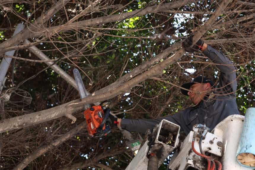 Mejoran vialidades y espacios públicos en tres delegaciones de Tijuana