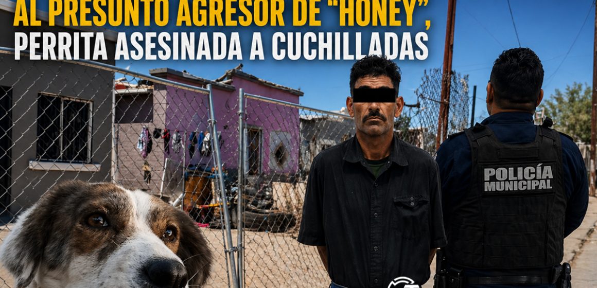 Detienen en Mexicali al agresor de “Honey”, perrita asesinada a cuchilladas
