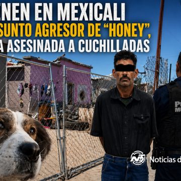 Detienen en Mexicali al agresor de “Honey”, perrita asesinada a cuchilladas