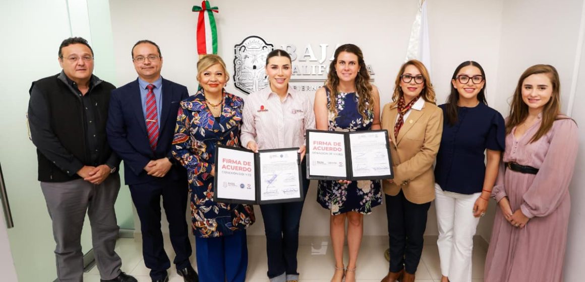 Conectan botón de emergencia de DiDi al C5 para reforzar la seguridad