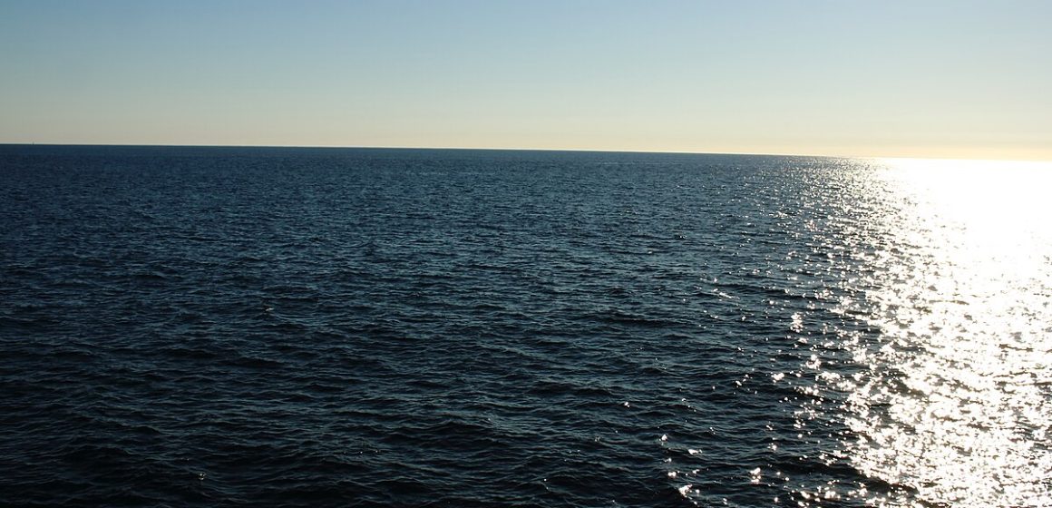 Pescador es picado por mantarraya en Playas de Tijuana; el dolor lo dejó sin poder moverse