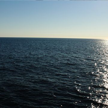 Pescador es picado por mantarraya en Playas de Tijuana; el dolor lo dejó sin poder moverse