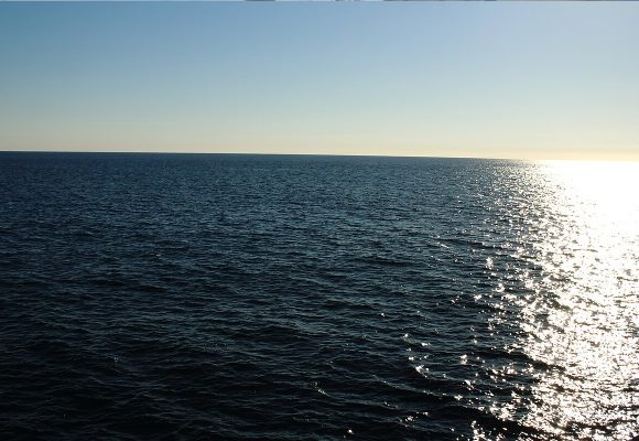 Pescador es picado por mantarraya en Playas de Tijuana; el dolor lo dejó sin poder moverse