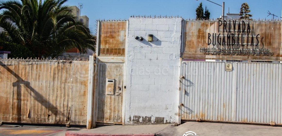 Perros devoran el rostro de adulto mayor tras morir en su casa