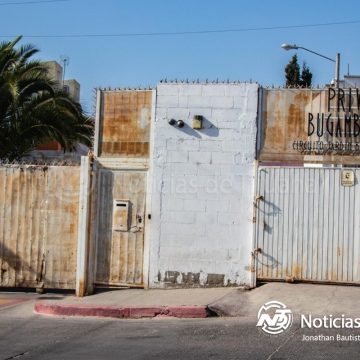Perros devoran el rostro de adulto mayor tras morir en su casa