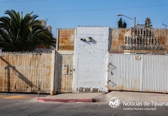 Perros devoran el rostro de adulto mayor tras morir en su casa