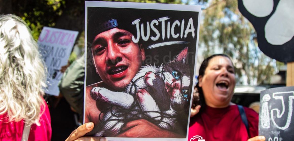 Exigen justicia por “Angelito”, gatito torturado en Tijuana