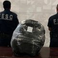 Aseguran más de 17 kilos de marihuana durante operativo preventivo
