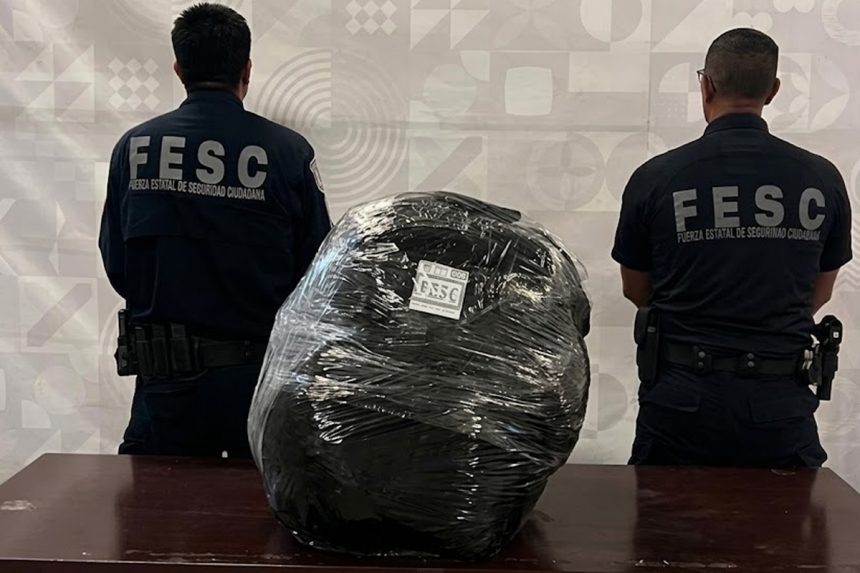 Aseguran más de 17 kilos de marihuana durante operativo preventivo