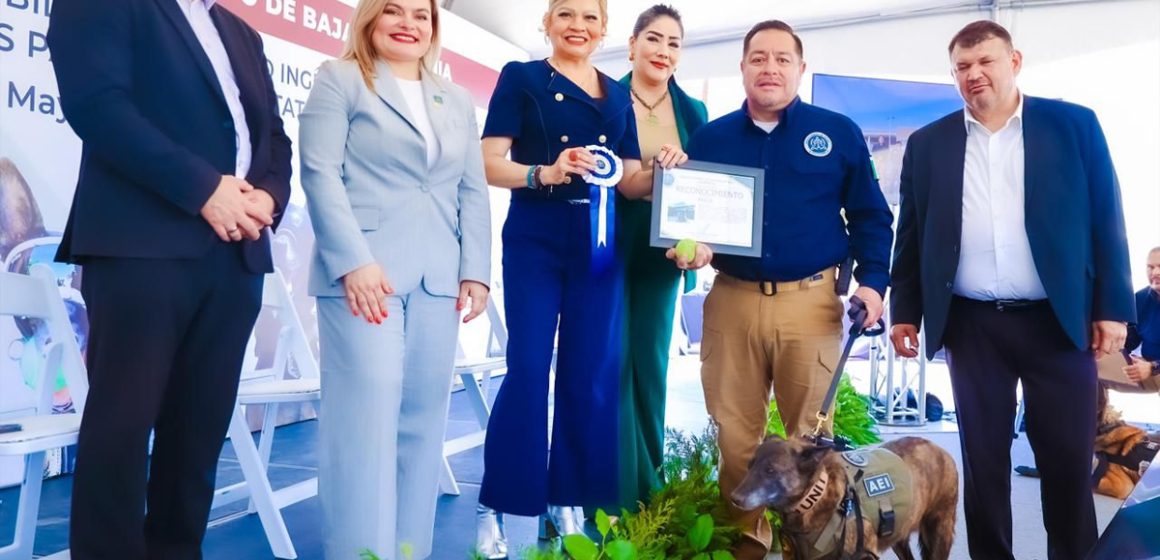 Agentes K9 de Baja California se jubilan tras años de servicio en operativos y búsquedas