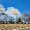 Incendio forestal en Tecate mantiene operativo activo; reportan 50% de contención