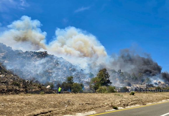 Incendio forestal en Tecate mantiene operativo activo; reportan 50% de contención