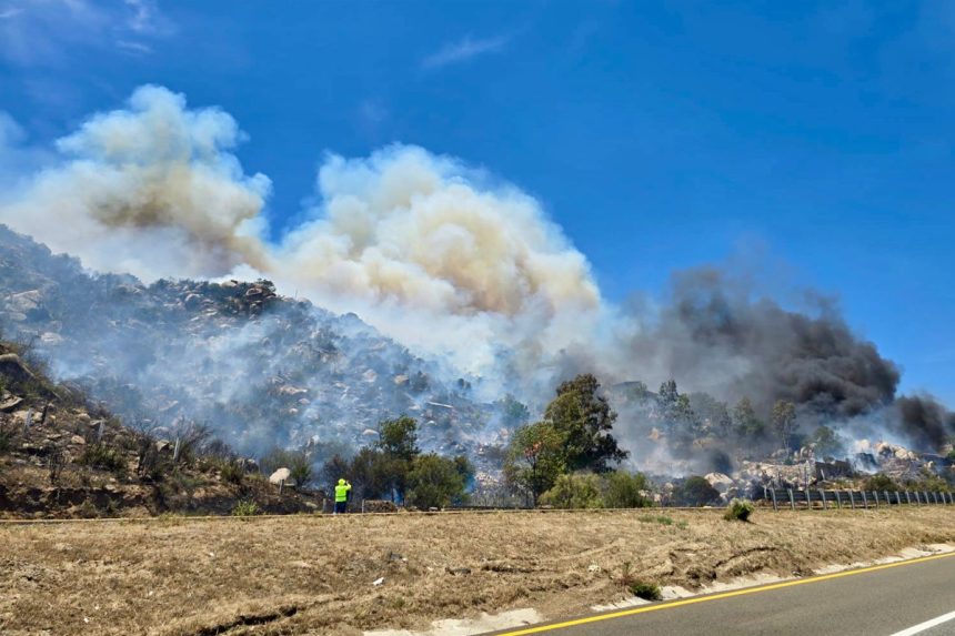 Incendio forestal en Tecate mantiene operativo activo; reportan 50% de contención