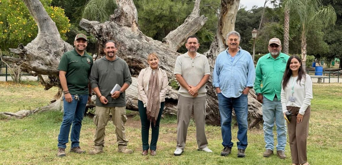 1 Tecate fortalece visión de áreas verdes en Parque Los Encinos