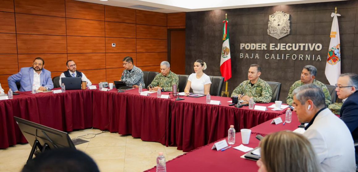 Baja California reporta reducción de homicidios y más de 34 toneladas de droga aseguradas