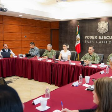 1 Baja California reporta reducción de homicidios y más de 34 toneladas de droga aseguradas