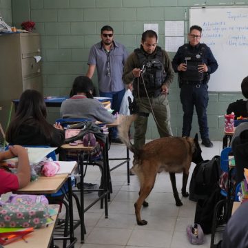 Continúan operativos preventivos en escuelas por falsas amenazas