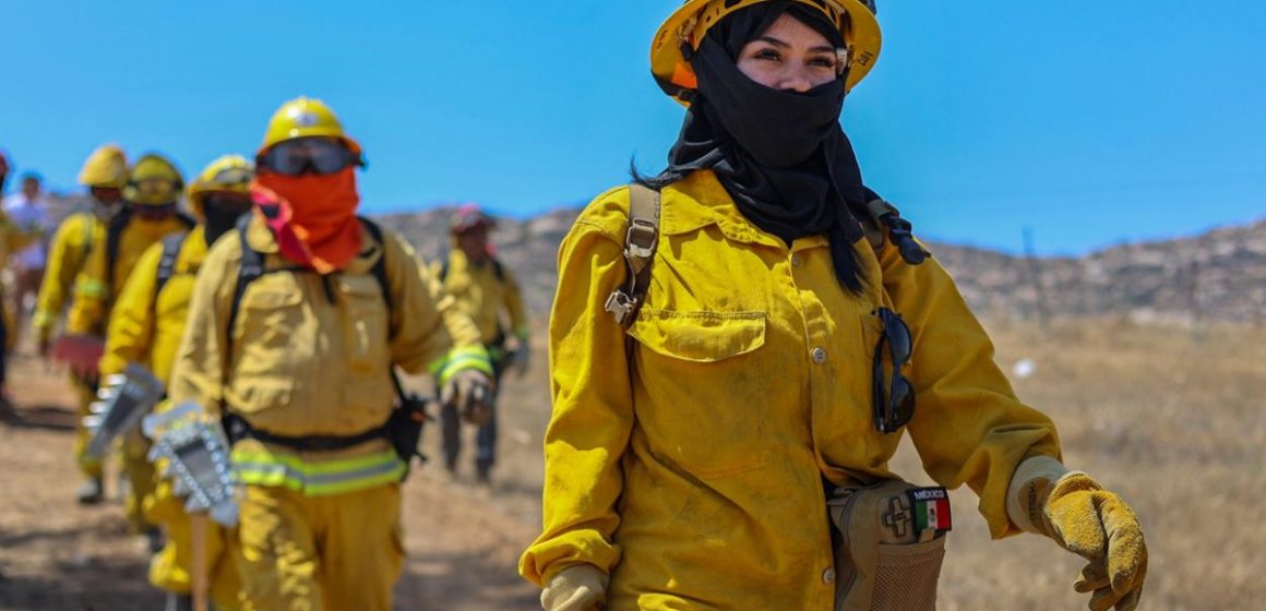 3 Concluye con éxito el Curso Forestal Binacional 2026