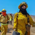 Concluye con éxito el Curso Forestal Binacional 2026