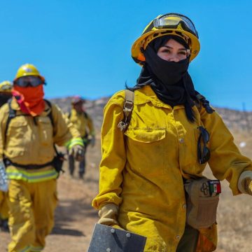 Concluye con éxito el Curso Forestal Binacional 2026