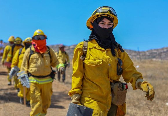 3 Concluye con éxito el Curso Forestal Binacional 2026