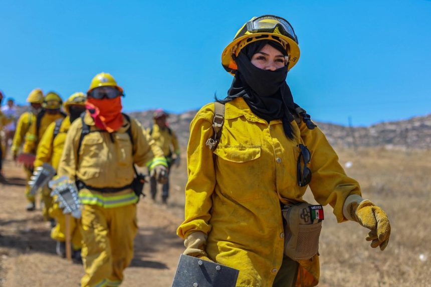 3 Concluye con éxito el Curso Forestal Binacional 2026