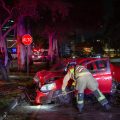 Conductora derriba árbol y poste en zona Río