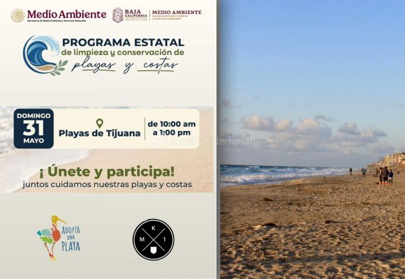 Invitan a participar en la limpieza y conservación de playas y costas