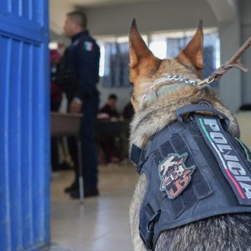 Realizan revisiones preventivas en escuelas de Tijuana; aseguran objetos peligrosos