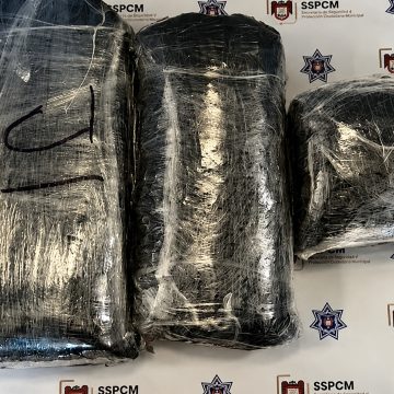 Asegura alrededor de 12 kilos de aparente droga tras denuncia por presunta “Mula Ciega”