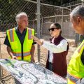 Mónica Vega entrega obra que fortalece la conducción de aguas residuales en Tijuana