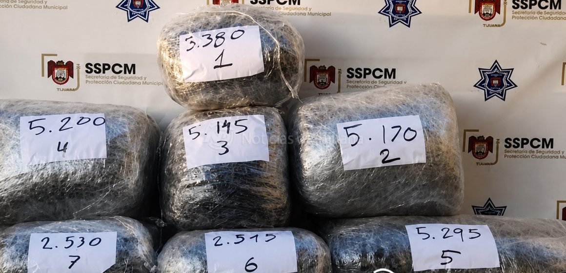 1 Aseguran más de 29 kilos de marihuana abandonados