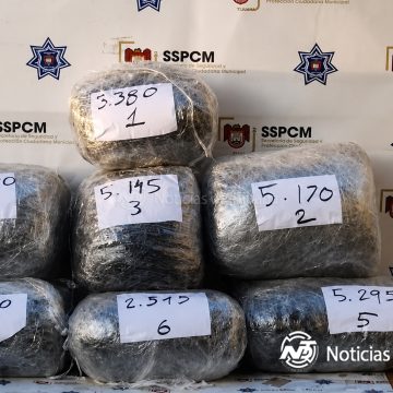 Aseguran más de 29 kilos de marihuana abandonados