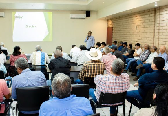 Impulsa Gobierno de BC manejo contra mosquita blanca